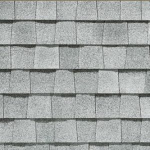 Silver Birch shingles