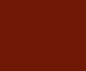 fired brick color